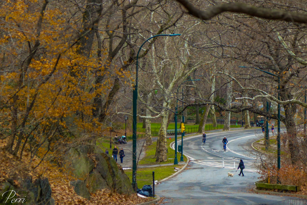 Central Park 2