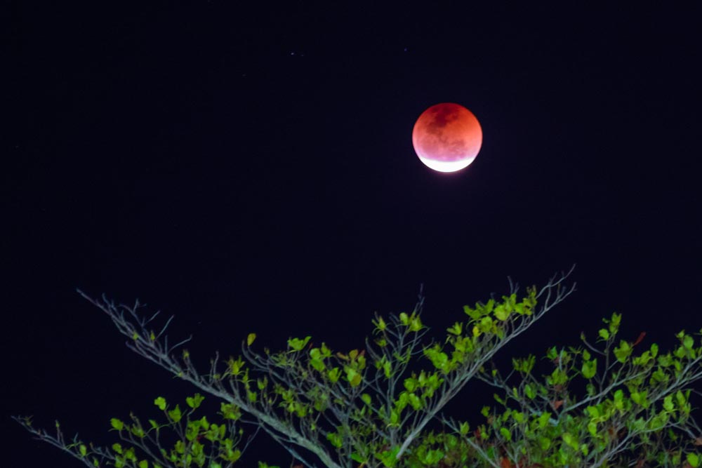 Eclipse Lunar