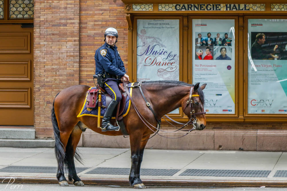 New york Police 1