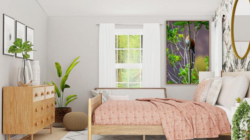 IMG_4189 INSTA PASSARO DE ITAIPAVA simulado